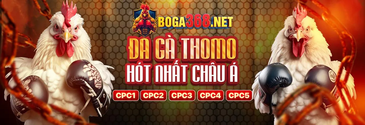 Hướng dẫn f8bet2 chính thức cho người mới 2026